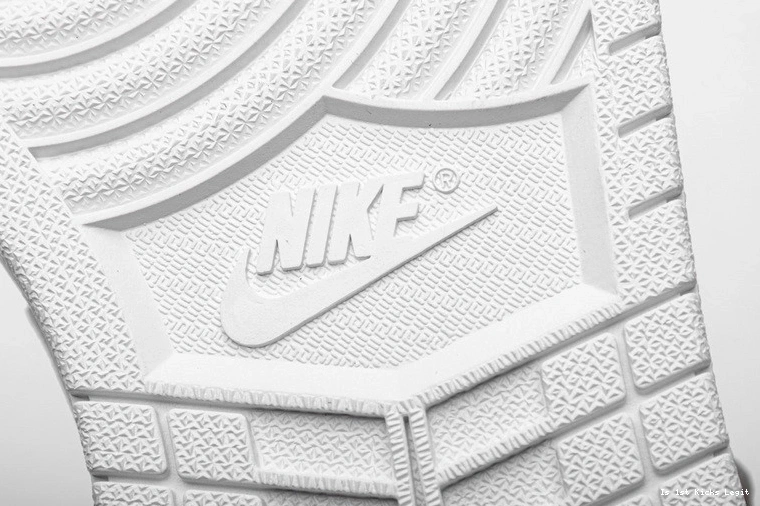 1 553558-170 Jordan Low Pure Platinum Retro  1006